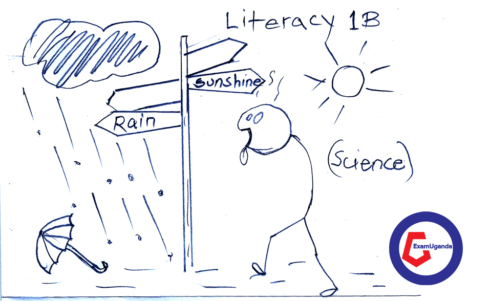 Primary One:End of Year: LITERACY 1B – Holiday Work 2024